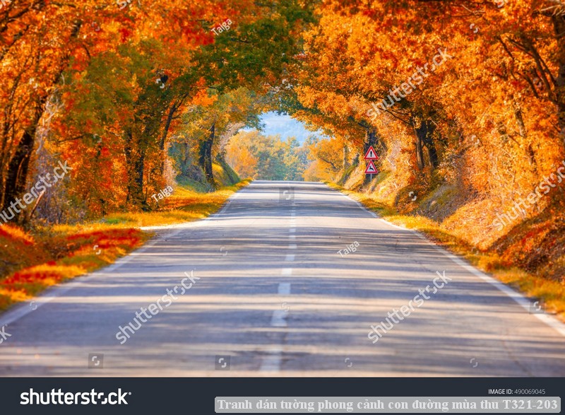 Tranh dán tường phong cảnh con đường mùa thu T321-203